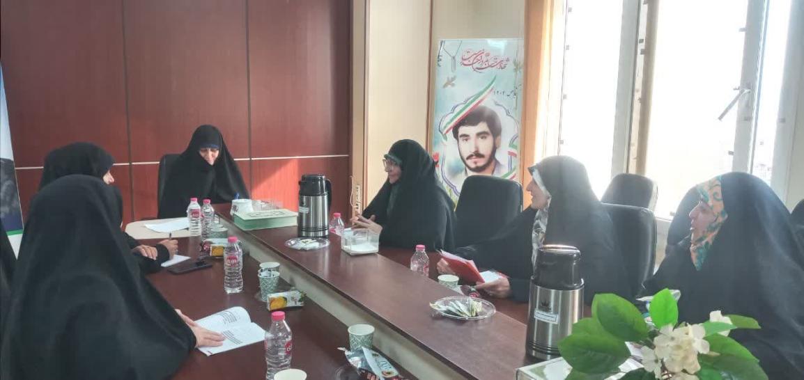 نشست هم اندیشی مسئولین خواهر وزارتخانه‌ها